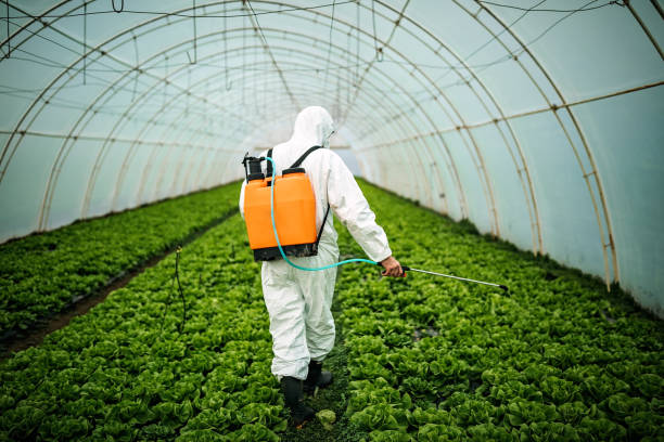 Best Mosquito Control Services  in Mason Neck, VA