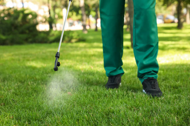 Best Rat Extermination Near Me  in Mason Neck, VA