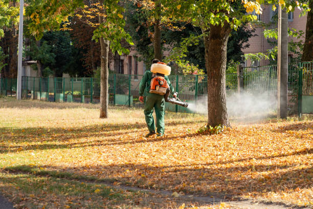  Mason Neck, VA Pest Control Pros