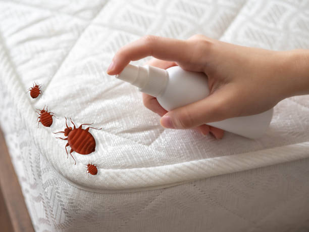 Best Pest Control Near Me  in Mason Neck, VA