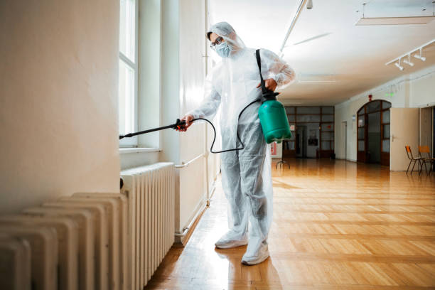 Best Emergency Pest Control  in Mason Neck, VA
